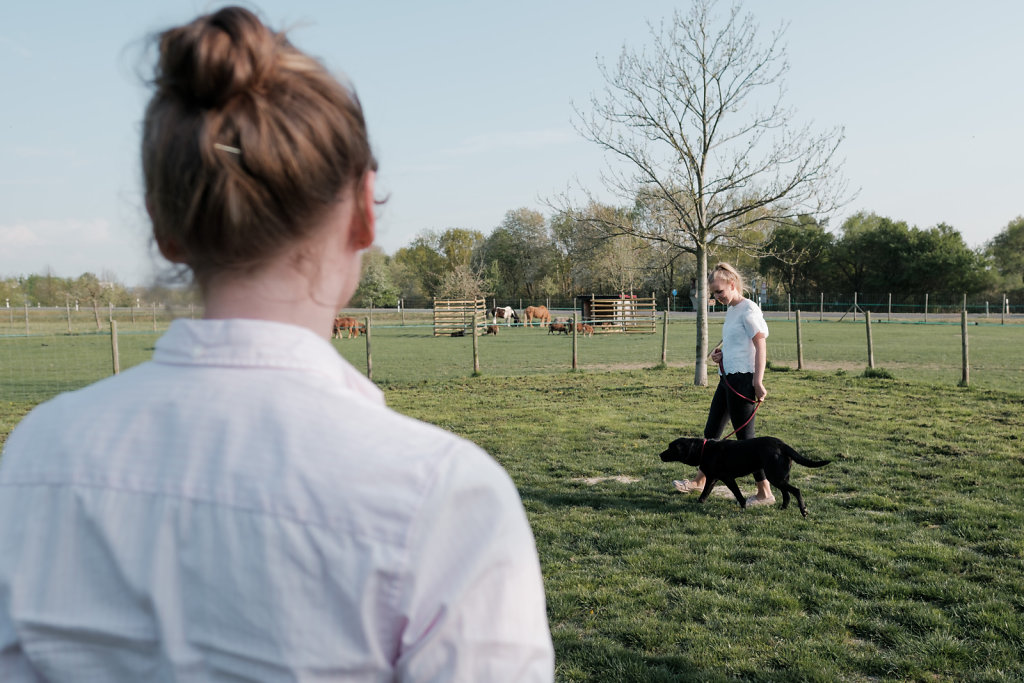 tl-hundeschule-22-1018.JPG