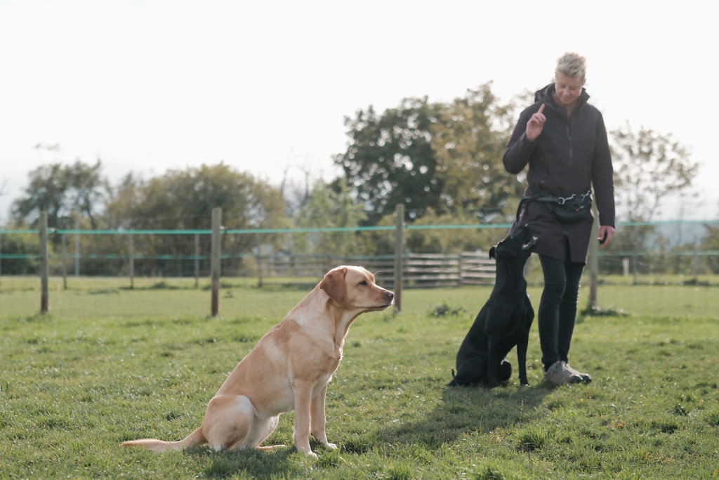 tl-hundeschule-22-1019.JPG