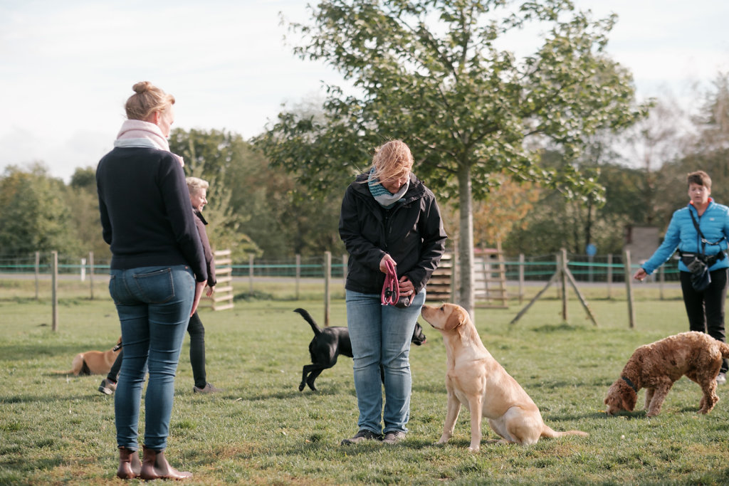 tl-hundeschule-22-1020.JPG