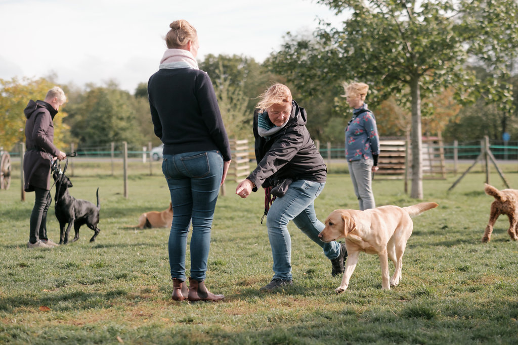 tl-hundeschule-22-1021.JPG