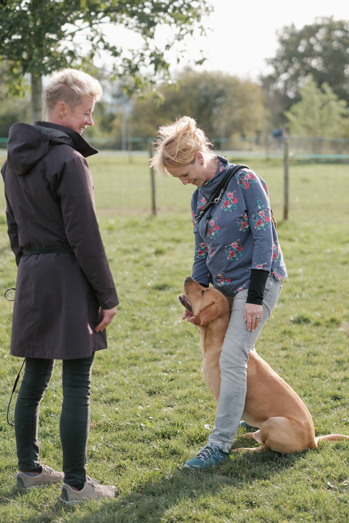 tl-hundeschule-22-1022.JPG