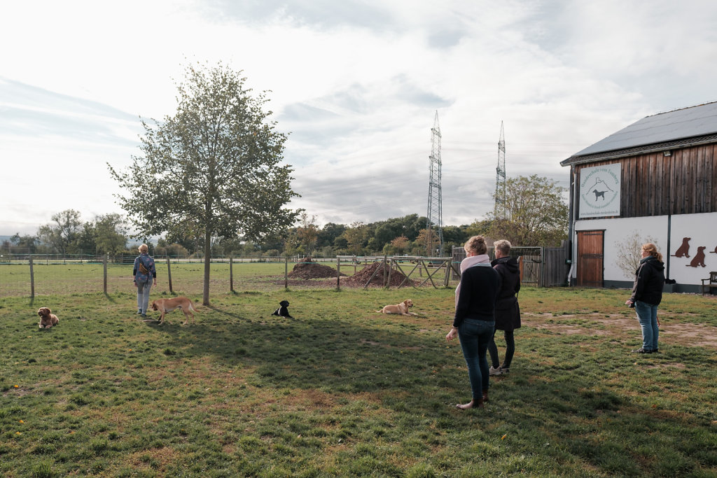 tl-hundeschule-22-1024.JPG